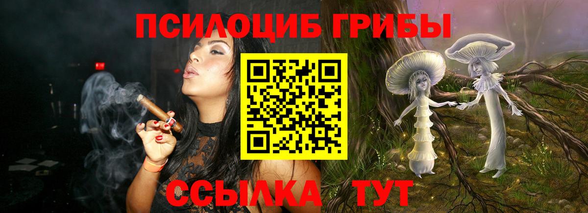 Великий Устюг  Псилоцибиновые грибы Cubensis  хочу наркоту  Вход с VPN 